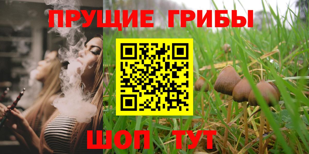 Ишим  Галлюциногенные грибы GOLDEN TEACHER  цены   Вход с VPN 